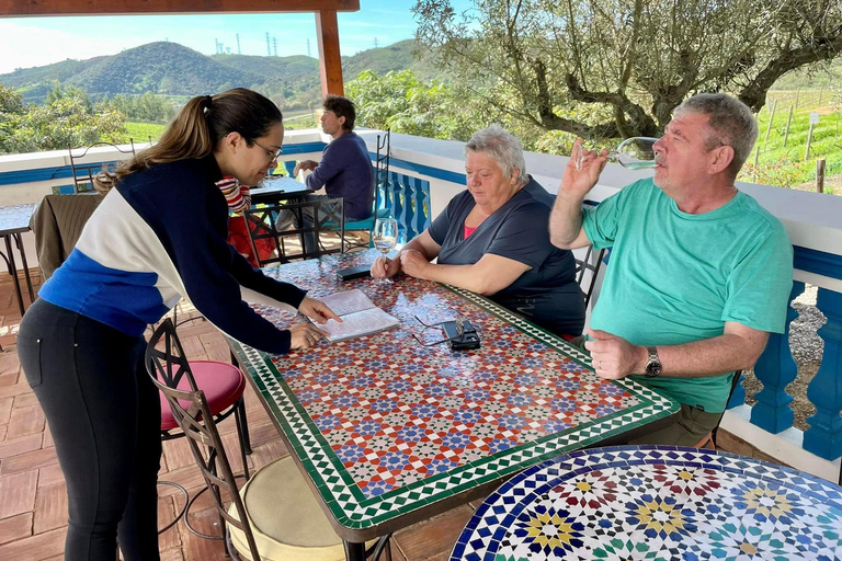 Albufeira, Olhão, Faro: visit to a vineyard, free time in Silves