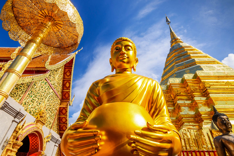 Chiang Mai: Doi Suthep and Wat Umong Enchanting Evening TourPrivate Tour in English with Hotel Pickup