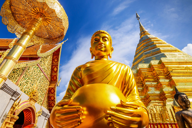 Chiang Mai: Doi Suthep and Wat Umong Enchanting Evening TourPrivate Tour in English with Hotel Pickup