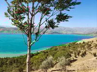 Tashkent Mountain Tour - Housity