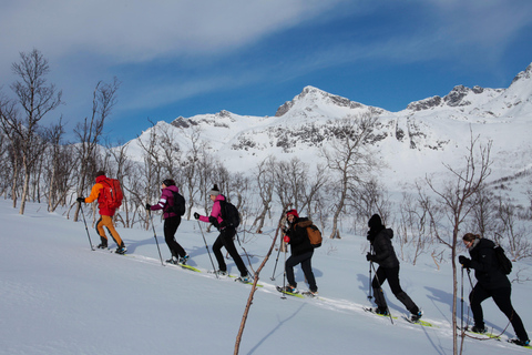 Tromsø: Guided snowshoe hill hike