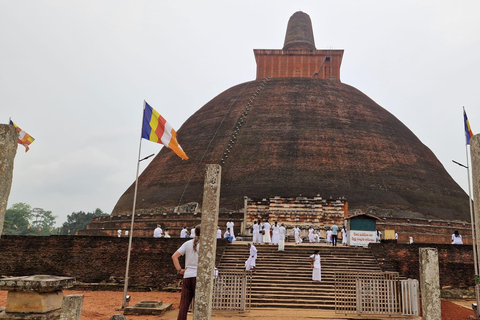 Anuradhapura All Inclusive Private Day Trip from Trincomalee Pick ups from Sigiriya, Habarana, Dambulla