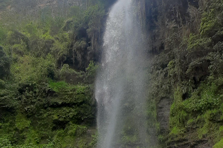 Kana Yaku Trek and Waterfalls Pet-Friendly Tour