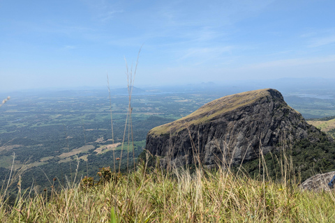 Från Kandy: Kanawiddagala och Yahangala Twin Peak-vandringFrån Kandy: Vandring till tvillingtopparna Kanawiddagala och Yahangala