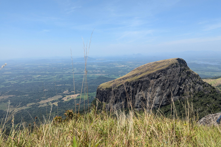Da Kandy: escursione alle cime gemelle di Kanawiddagala e YahangalaDa Kandy: escursione alle due cime gemelle di Kanawiddagala e Yahangala