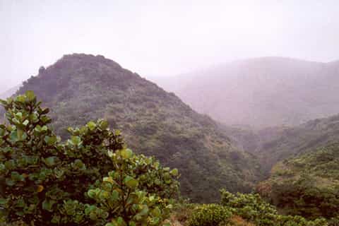 Rincón de la Vieja Volcano 8-Hour Tour from Guanacaste