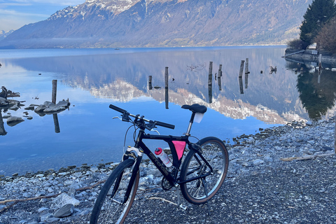 Tour in bicicletta della Valle di Interlaken: Fiumi, laghi e foresteTour in bicicletta della Valle di Interlaken - Fiumi, laghi e foreste