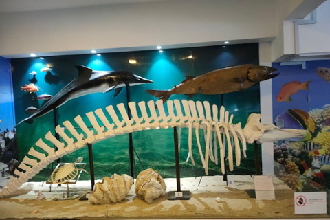 Sabah : City Tour of Kota Kinabalu with Lunch/Dinner Kota Kinabalu: City Tour of Kota Kinabalu