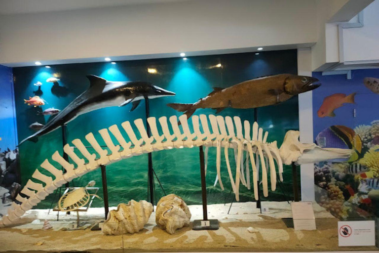 Sabah : Visita a la ciudad de Kota Kinabalu con comida/cenaKota Kinabalu: Visita a la ciudad de Kota Kinabalu