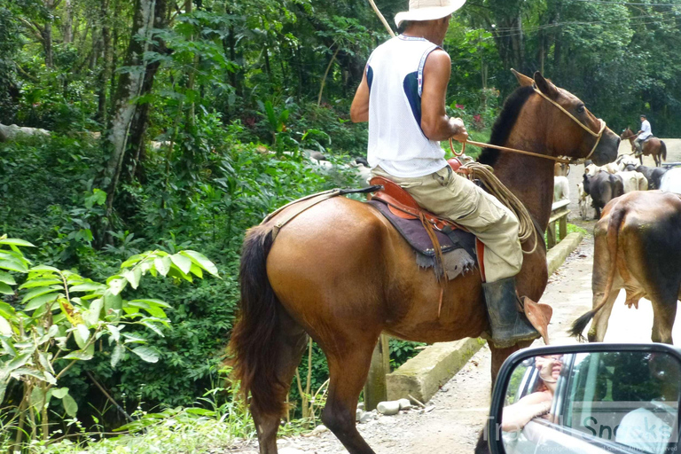 Puerto Plata: Horseback Riding Tour with Beach Views