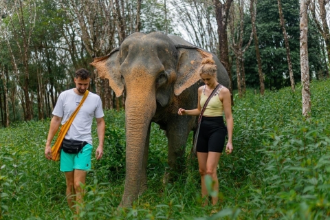 Phuket: Ethisches Elefanten-Schutzzentrum − Interaktive TourTicket & Gemeinschaftstransfer ab Hotels in Phuket
