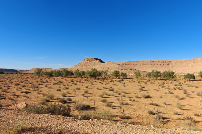 جربة: رحلة سفاري لليلة واحدة في خيام البربر.