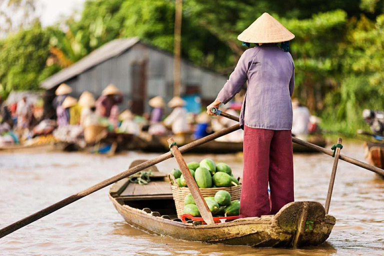 Tour privato di Ho Chi Minh: Tour di un giorno sul Delta del MekongOpzione 1: Solo trasporto