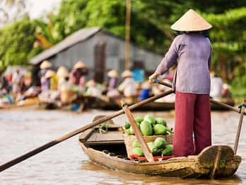 Ho Chi Minh Wycieczka prywatna: Wycieczka całodniowa Delta Mekongu