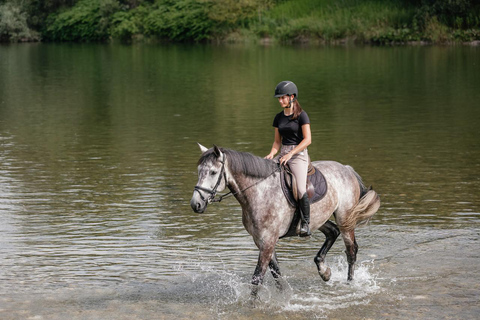 Perth, Jarrahdale: Private Horseback Ride and Picnic Perth, Jarrahdale: 1h Private Horseback Ride