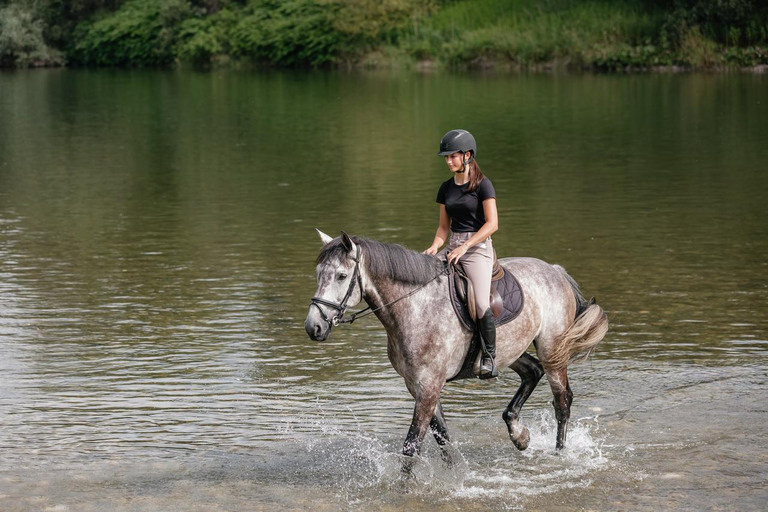 Perth, Jarrahdale: Private Horseback Ride and Picnic Perth, Jarrahdale: 1h Private Horseback Ride