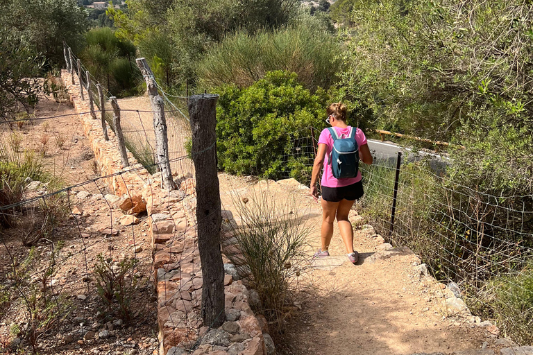 Valldemossa: Stad en de mooiste uitzichtpunten