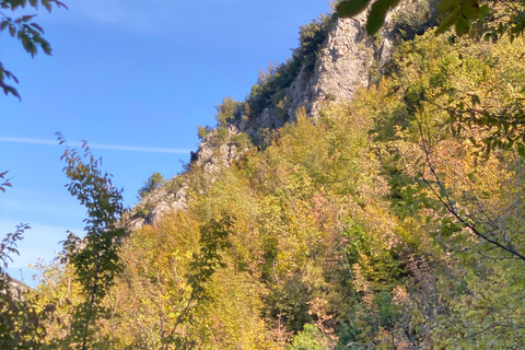 Depuis Tirana : Château de Petrela, grottes de Pellumbas et tyrolienne ...