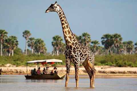 From Zanzibar: 2-Day Selous Safari with Flights & Lodge Stay 2-Day Selous Safari - Without Transfer