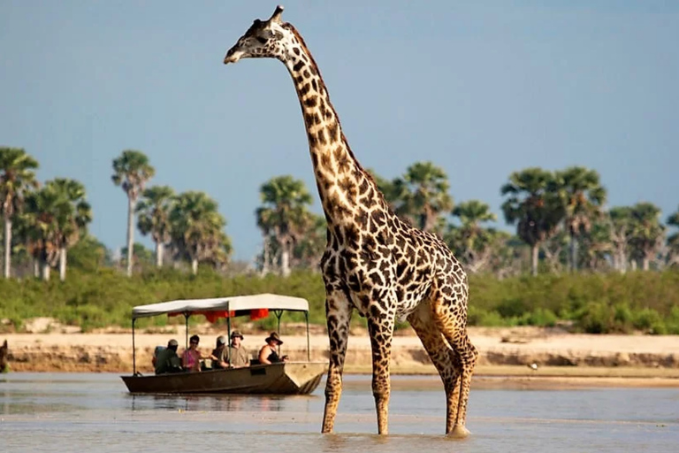 From Zanzibar: 2-Day Selous Safari with Flights & Lodge Stay 2-Day Selous Safari - Without Transfer