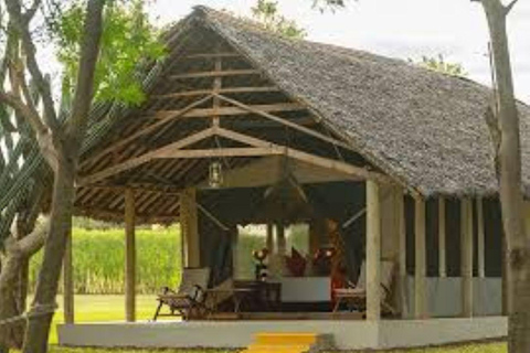 Mombasa: Tsavo West Overnight Safari & Night Drive at Ziwani