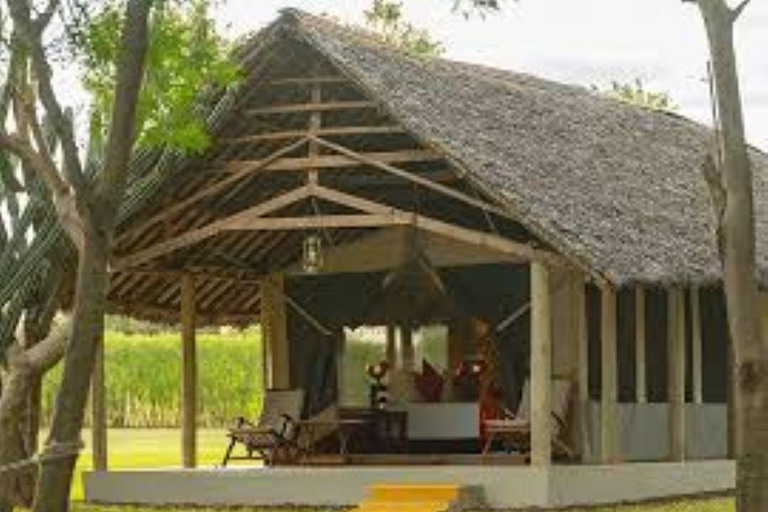 Mombasa: Tsavo West Overnight Safari & Night Drive at Ziwani