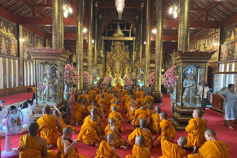Chiang Mai: Temple Visit & Elephant Nature Observation