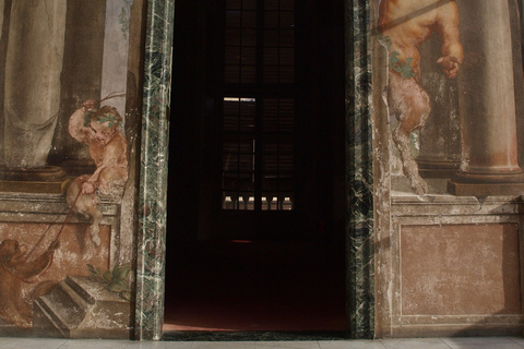 Guided Tour of Rolli Palaces UNESCO Site, Genoa Guided Tour in Italian