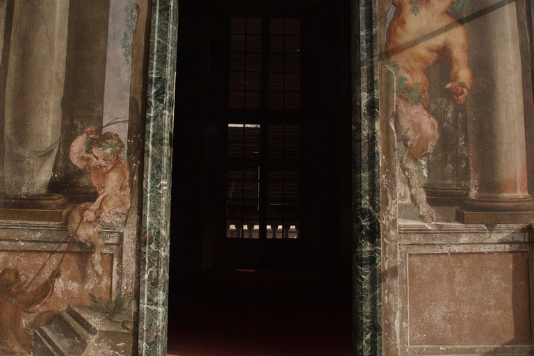 Guided Tour of Rolli Palaces UNESCO Site, Genoa Guided Tour in Italian