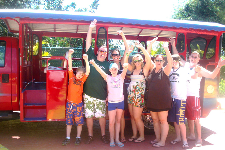 St. Thomas: Shopping, Sightseeing, and Optional Beach Tour St. Thomas Shopping and Sightseeing w/ Hotel Pick Up