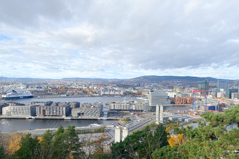 Oslo : Visite guidée personnalisée avec un guide expert indépendantOslo : Visite artistique personnalisée (une journée)