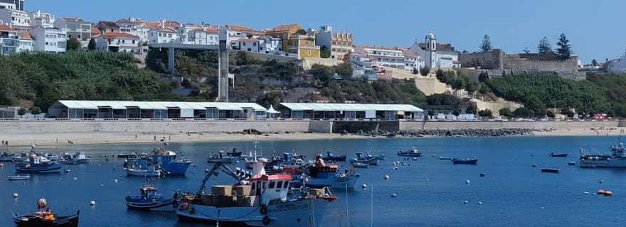 Sines : Visite guidée Premium, Vasco de Gama, Forts et Plages Désertes