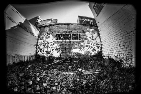Reykjavik Street Art Backstreets and Stories
