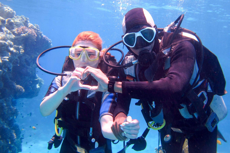 Da Nang: Cham Islands Fun Dive with Lunch and Transfers Fun Divers with Certified - two dive