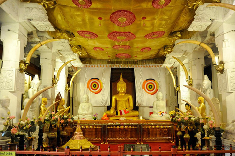 From Colombo: Kandy Temple & Highlights Private Tour Kandy Temple & Highlights Private Day Tour