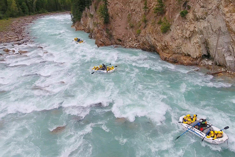 Kicking Horse River: Halvdagstur med forsränningKicking Horse River: Whitewater Rafting Half-Day Trip