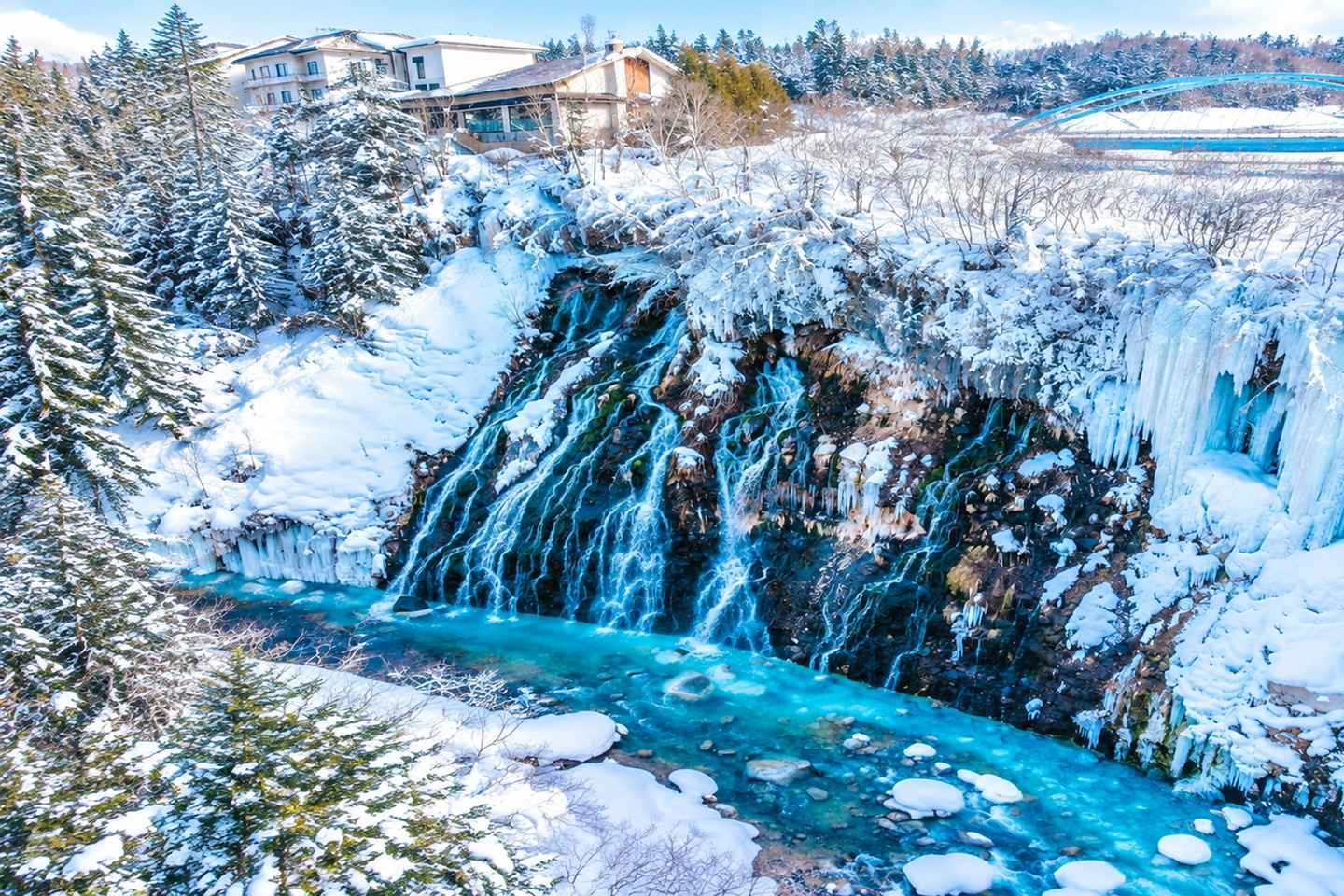 Sapporo:Asahiyama Zoo,Shirahige Waterfall&Blue Pond Day Trip - 8:00 am meet at JR Sapporo Station North exit