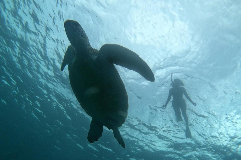 GILI T : EXCURSIÓN PRIVADA DE SNORKEL 5 HORAS 3 GILIGILI T : VIAJE DE SNORKEL PRIVADO 4 HORAS + 3 GILI