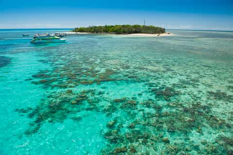 From Cairns: Green Island Reef Catamaran Cruise