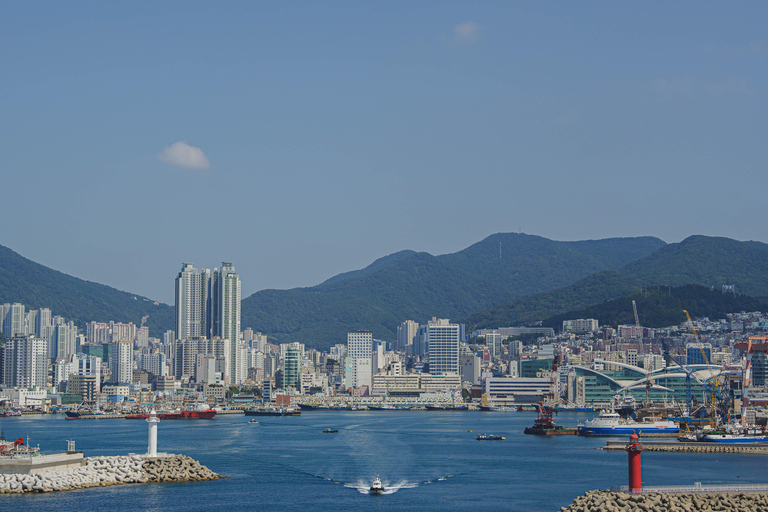 Busan: Power Walk Tour with a Local Mate