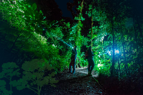 Desde Madre de Dios | Paseo nocturno por la selva amazónica