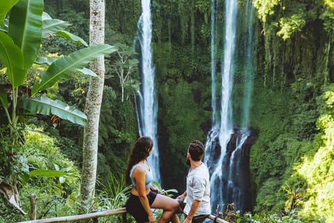 North Bali: Bali Mate Full Day Private Tour Pickup/Drop-off