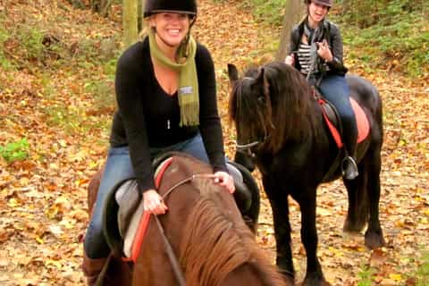 Barcelona: Horseback Ride in a Nature Park