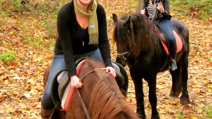 barcelona paseo a caballo en parque natural