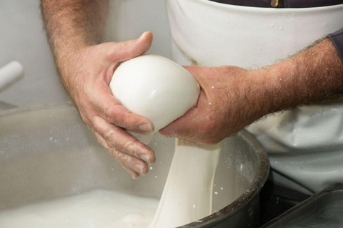 Puglia: Mozzarella Experience at an Apulian Farm Mozzarella Experience in English