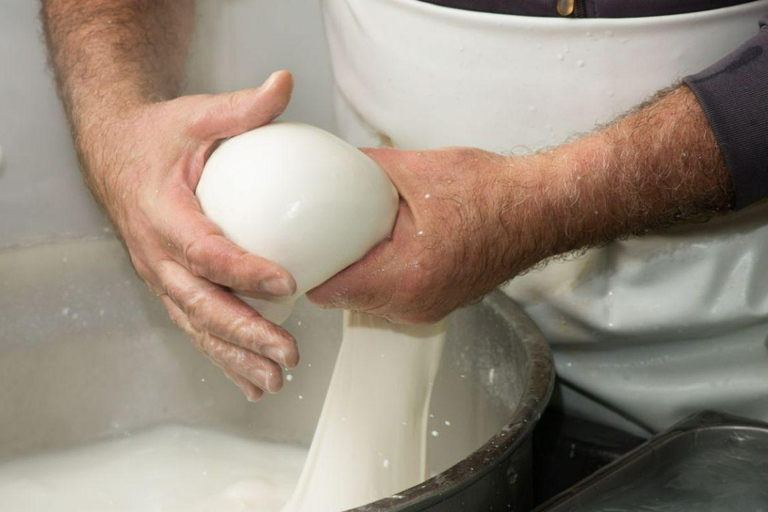 Puglia: Mozzarella Experience at an Apulian Farm Mozzarella Experience in English