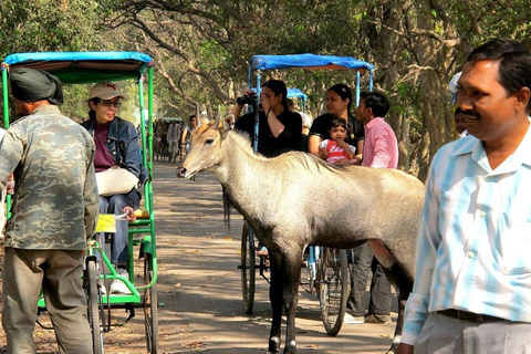 Parque Nacional Keoladeo Guia de ingressos eletrônicos Traslados de riquixáExcursão com traslados de Agra