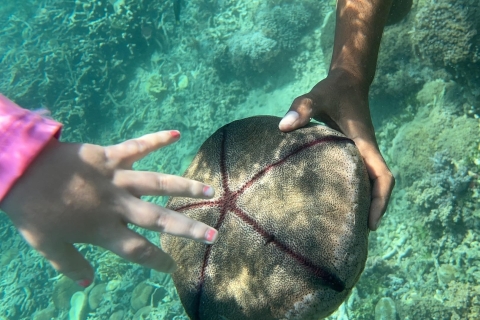 Lombok: Prywatna 1-dniowa wycieczka snorkeling na Secret Island