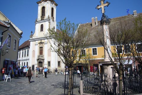 Budapest: Óbuda, Aquincum and Szentendre Private Tour