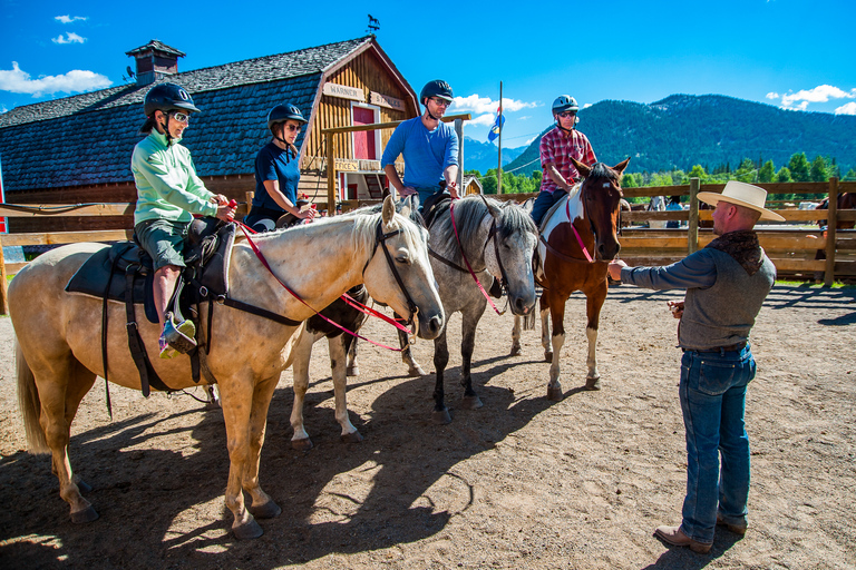 Banff National Park: 1-Hour Bow River Horseback Ride